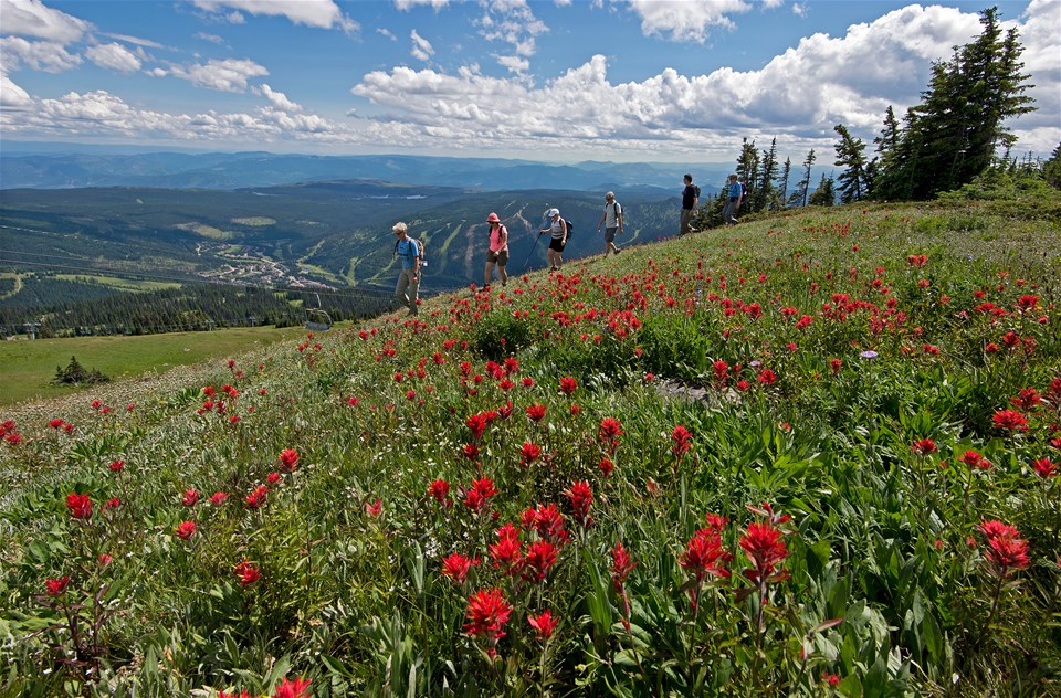 Hiking at Sun Peaks Resort